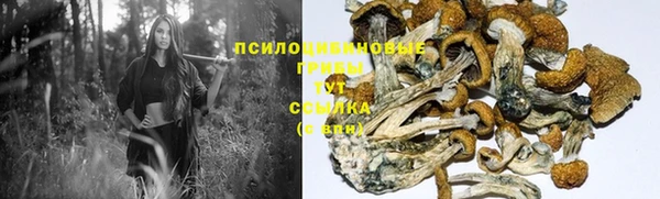 мдпв Белокуриха