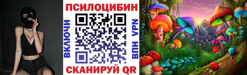 Галлюциногенные грибы Psilocybe  Маркс 